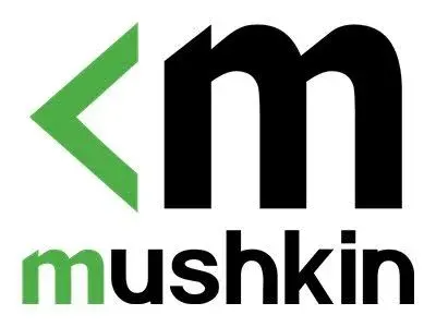 Mushkin 2 Go DDR2 800 MHz - vue 5