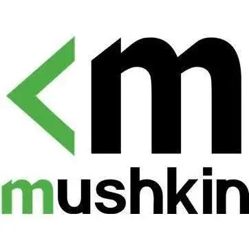 Mushkin 32 Go Kit 2x16Go DDR4 3200 MHz - vue 4