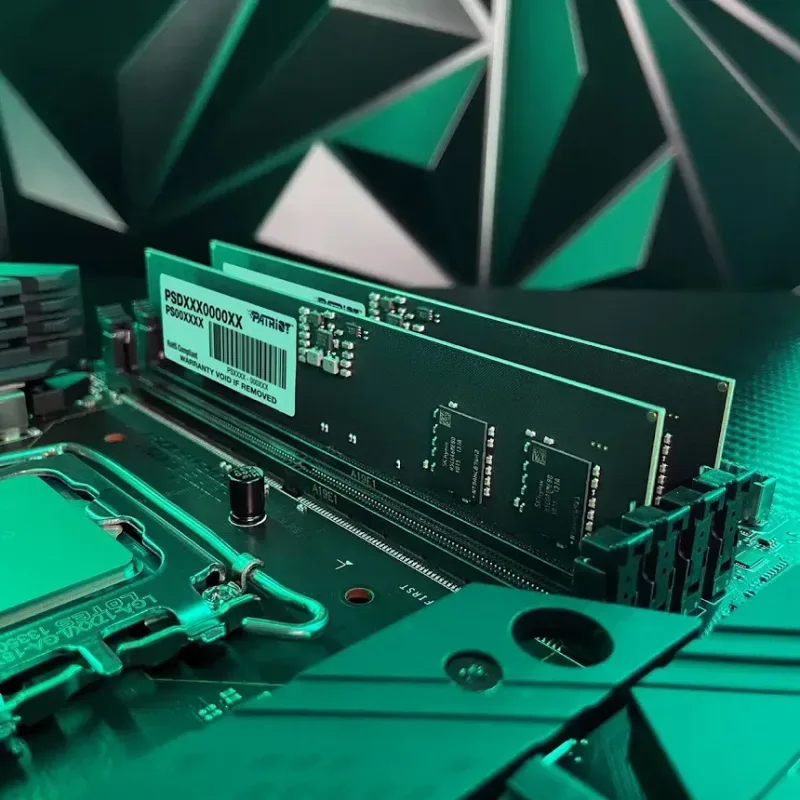 Patriot Signature 16 Go DDR5 4800 MHz - vue 5