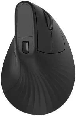 Accsup 08 V3 Noir - vue 1