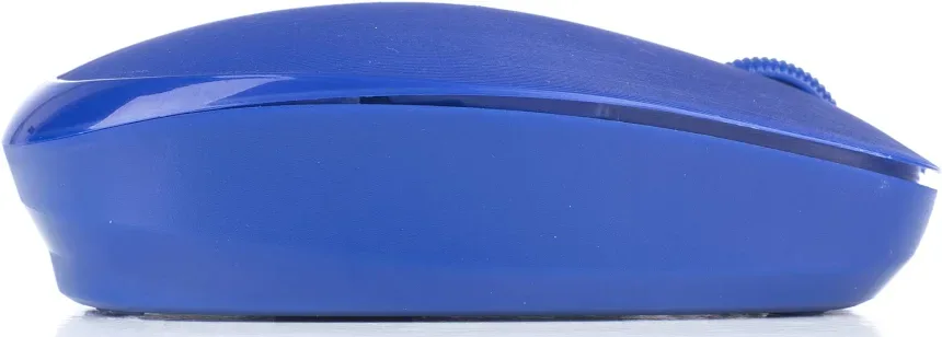 NGS Fog Bleu - vue 2
