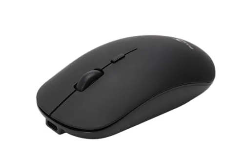 Bluestork Office 100 Sans fil Bluetooth 2,4 GHz