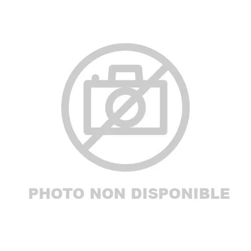 HP 240 Souris Bluetooth 1600 DPI