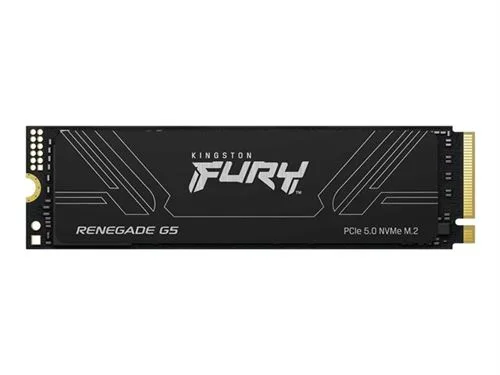 Disque SSD Kingston FURY Renegade G5 1 To