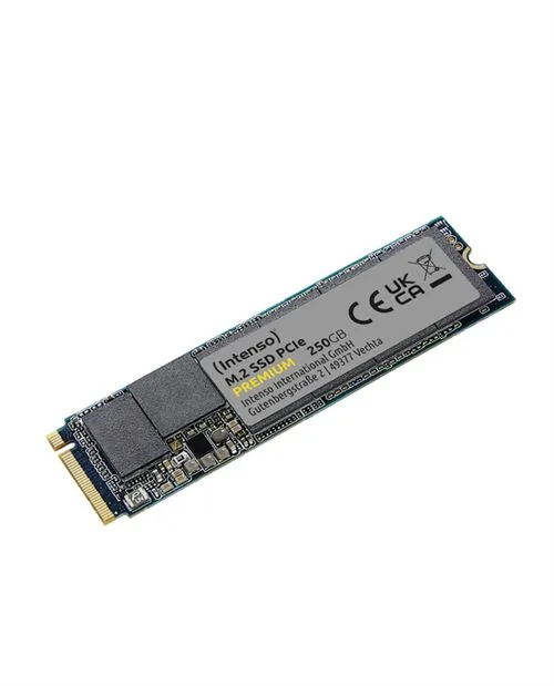 Intenso PREMIUM SSD 250 Go M.2 NVMe