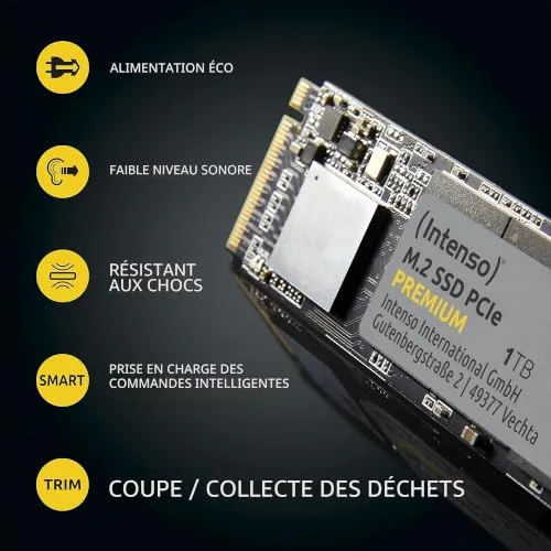 Intenso PREMIUM SSD 500 Go M.2 NVMe - vue 4