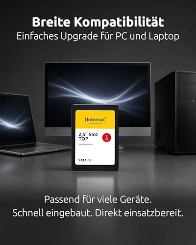 Intenso Top Performance SSD 1 To - vue 6