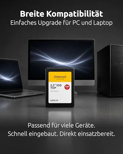 Intenso Top Performance SSD 256 Go 2.5" SATA - vue 6