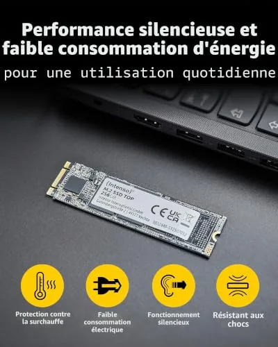 Intenso TOP SSD 256 Go M.2 SATA - vue 4
