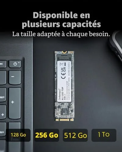 Intenso TOP SSD 512 Go M.2 SATA - vue 6