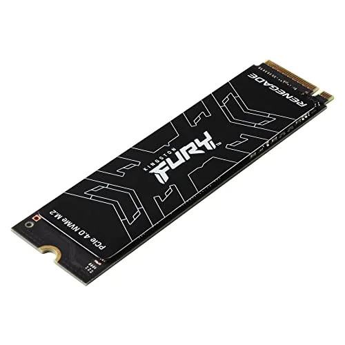Kingston FURY Renegade 1000 Go - vue 2