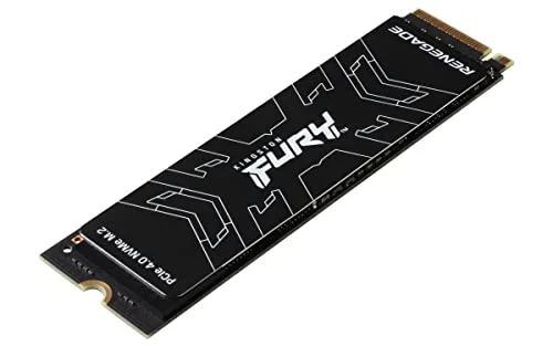 Kingston FURY Renegade 1000 Go - vue 4