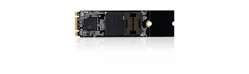 SSD MicroStorage M.2 1TB JMF667H