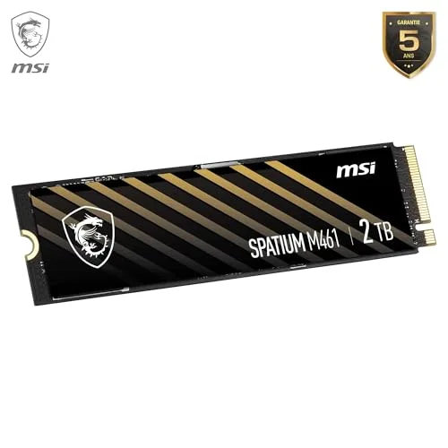 MSI SPATIUM M461 2 To - vue 5