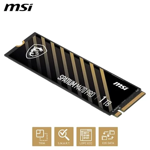 MSI SPATIUM M470 PRO 1 To - vue 6