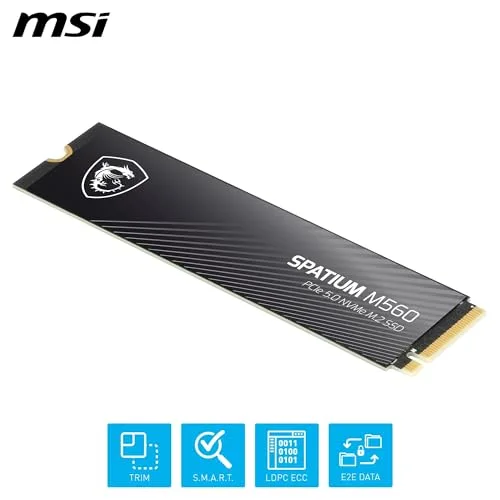 MSI SPATIUM M560 1 To PCIe 5.0 - vue 5
