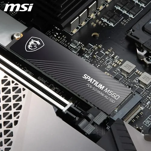 MSI SPATIUM M560 1 To PCIe 5.0 - vue 6