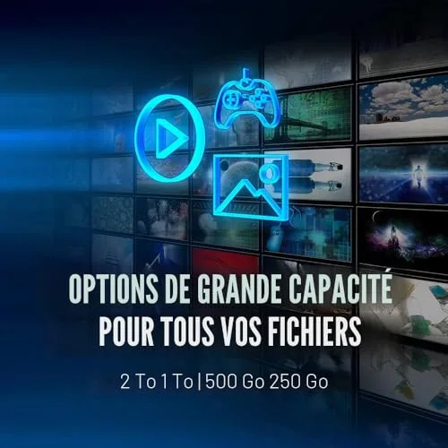 PNY CS1030 250 Go - vue 4