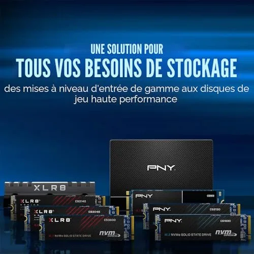 PNY CS1030 250 Go - vue 5