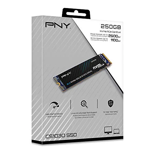 PNY CS1030 250 Go - vue 6