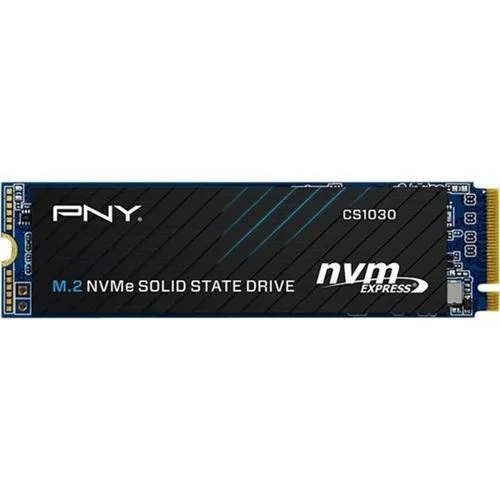 SSD PNY CS1030 500 Go
