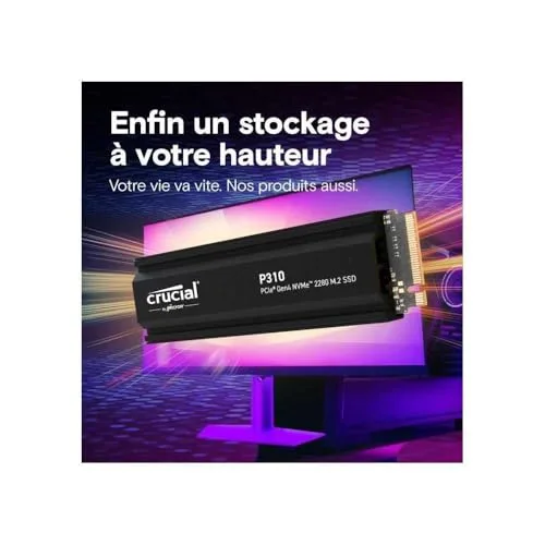 SSD Crucial P310 2 To - vue 6