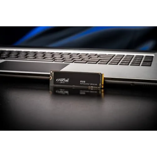 SSD Crucial P310 500 Go - vue 7
