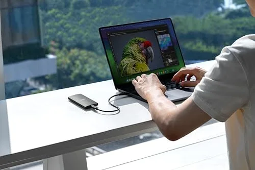 SSD Externe Lexar SL300 2 To - vue 2