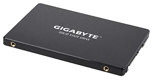 Gigabyte GP-GSTFS31256GTND 256 Go SATA III 2,5"