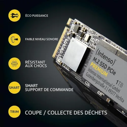 SSD Intenso 3835460 1TB M.2 NVMe - vue 5