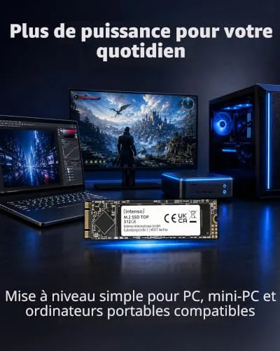 SSD Intenso Top Performance 1 TB M.2 SATA - vue 5
