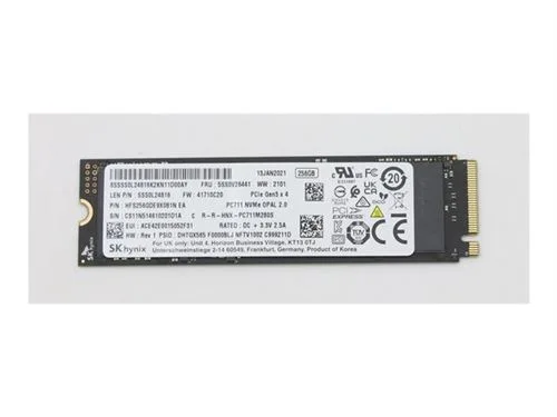 SSD SK Hynix PC300 256 Go Chiffré M.2