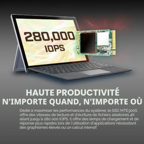 Transcend 300S 1 To M.2 2230 - vue 6