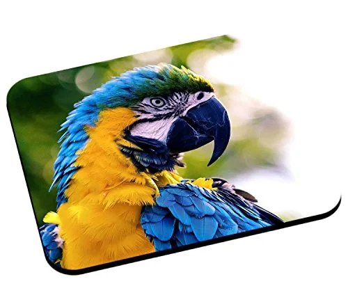 Tapis de souris Perroquet ara bleu coco 240 x 200 mm