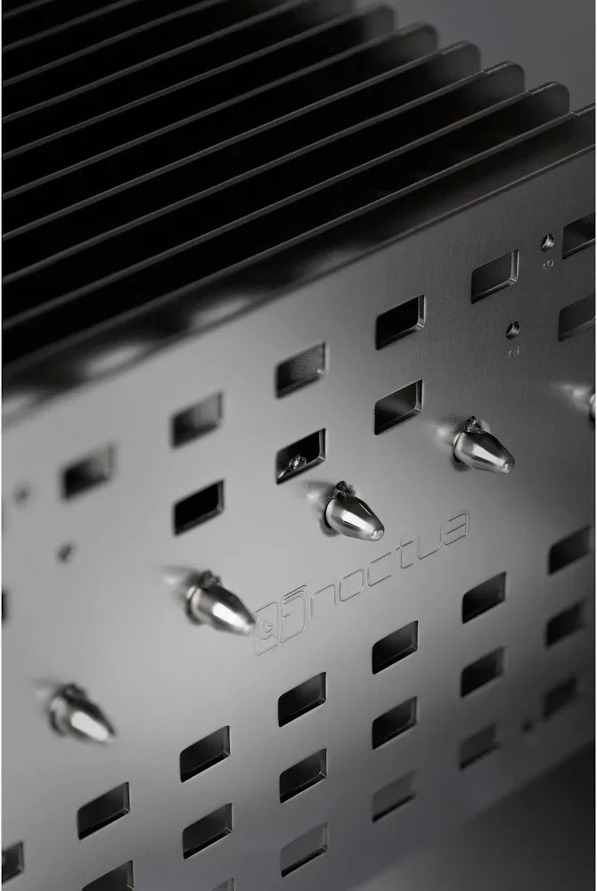 Noctua NH-P1 Argent - vue 4